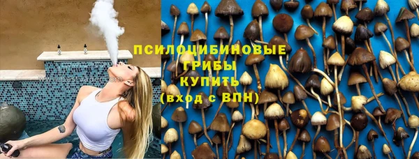 mdpv Алзамай